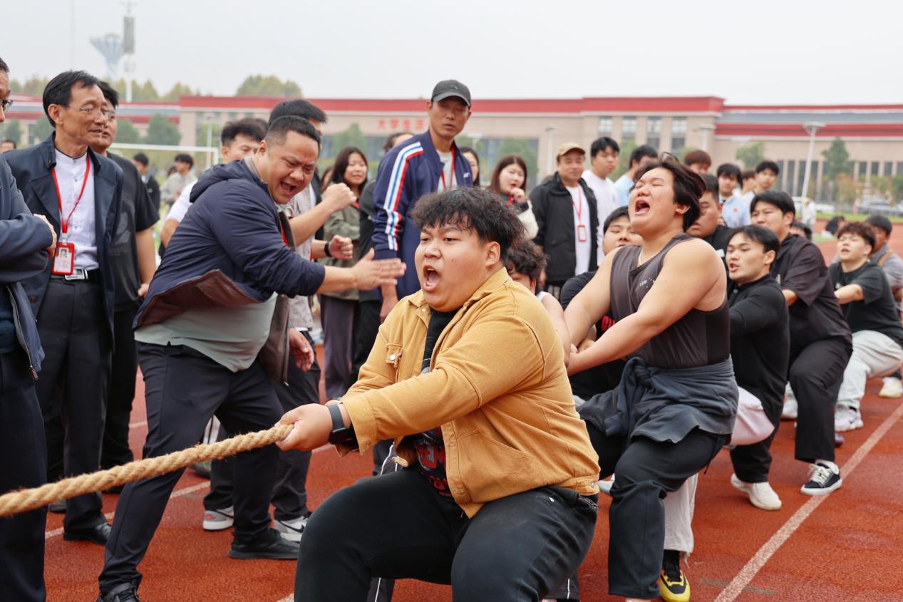 图 (12)