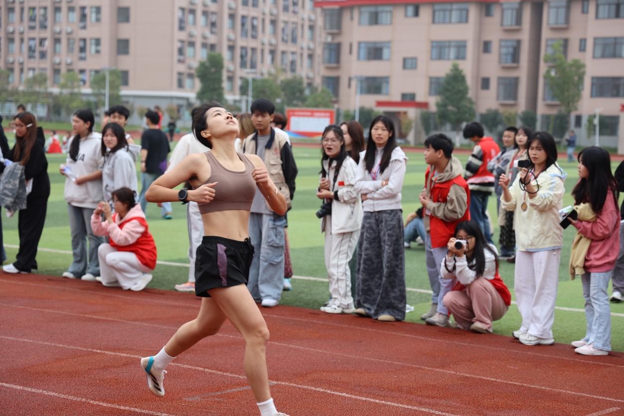 图 (11)